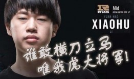 豪哥小虎爆料视频大全集,揭秘幕后真相，带你领略娱乐圈风云